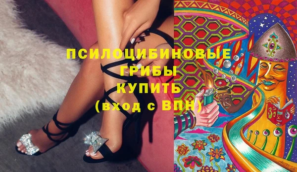ешки Алексин