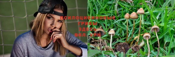 прущий лед Алексеевка
