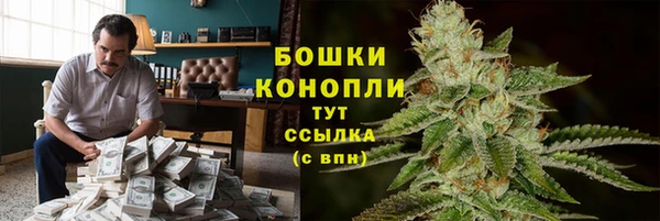 ешки Алексин
