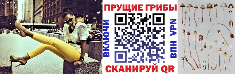 купить закладку  Макушино  Псилоцибиновые грибы MAGIC MUSHROOMS 